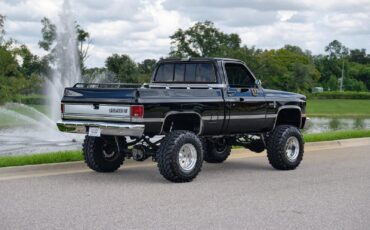 Chevrolet-Silverado-K10-1986-5