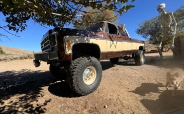 Chevrolet-Silverado-c20-1977-10