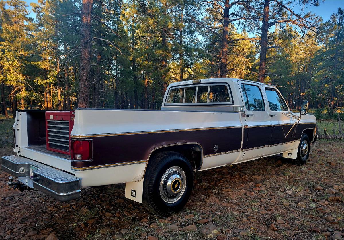 Chevrolet-Silverado-c20-1977-15