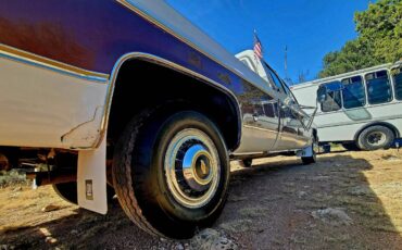 Chevrolet-Silverado-c20-1977-19