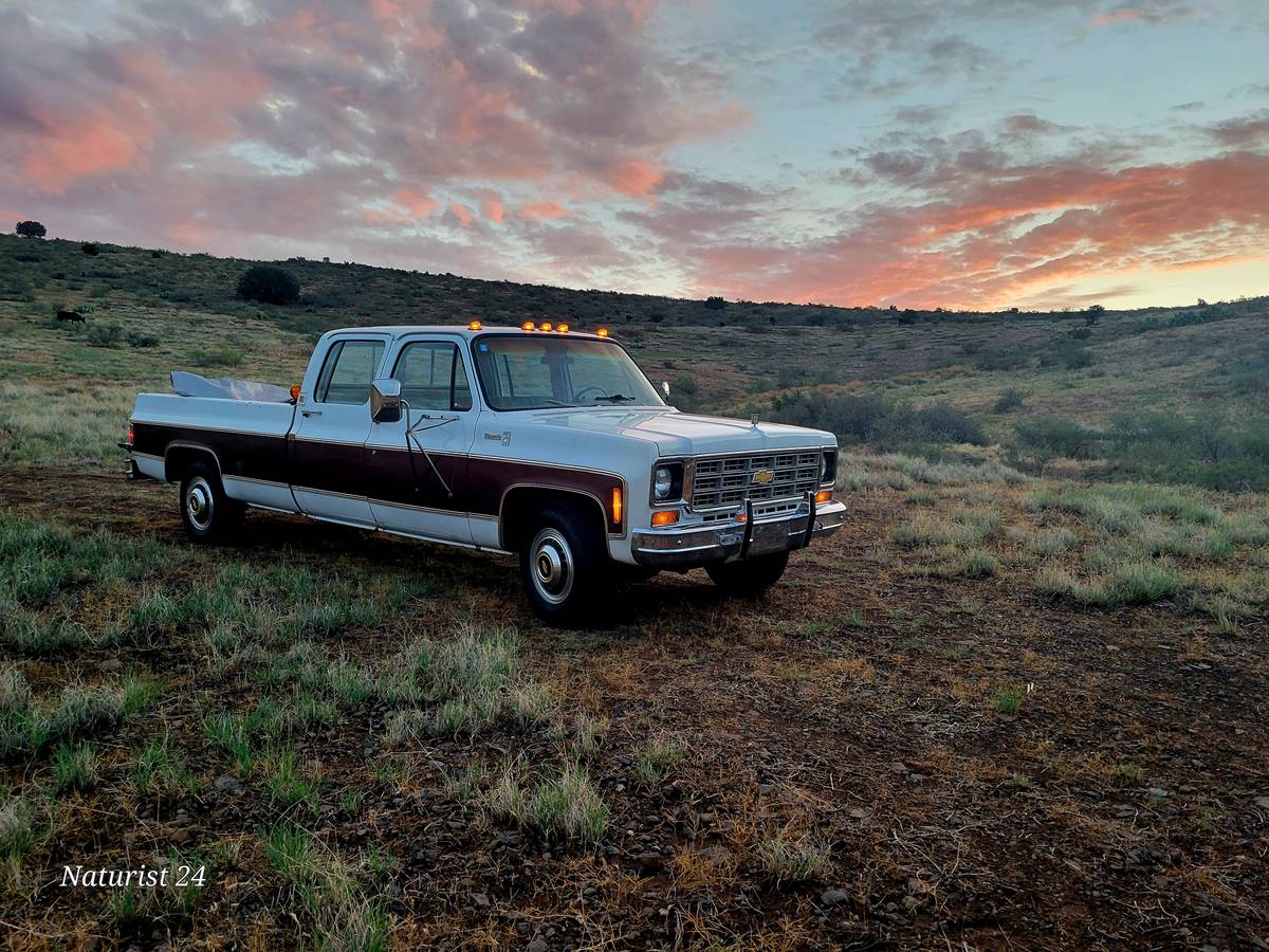 Chevrolet-Silverado-c20-1977-2