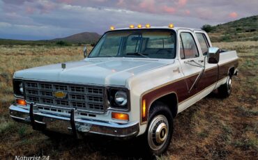 Chevrolet-Silverado-c20-1977