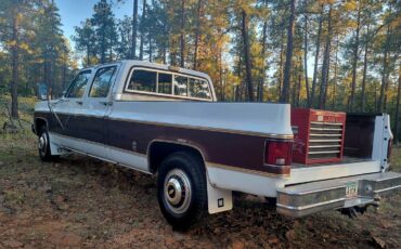 Chevrolet-Silverado-c20-1977-4