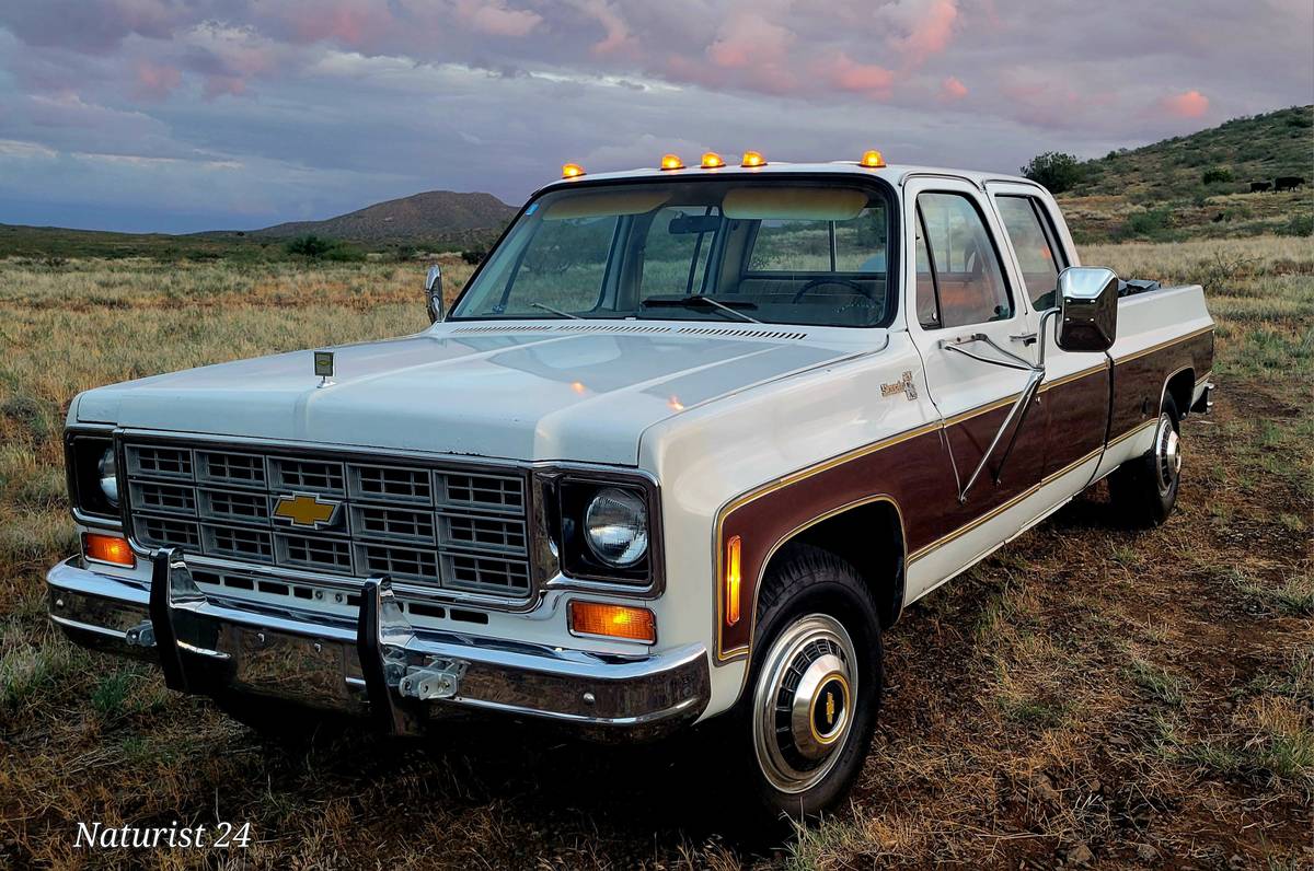 Chevrolet-Silverado-c20-1977