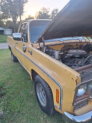 Chevrolet Truck  1978 à vendre