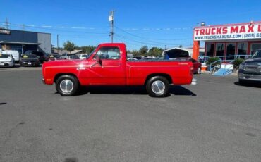 Dodge-D-series-conventional-cab-d150-1982-8