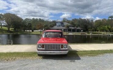 Dodge-D150-1978-1