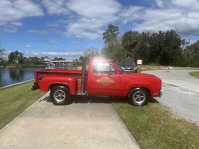 Dodge-D150-1978-2