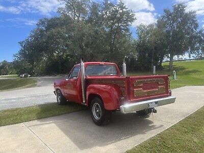 Dodge-D150-1978-4