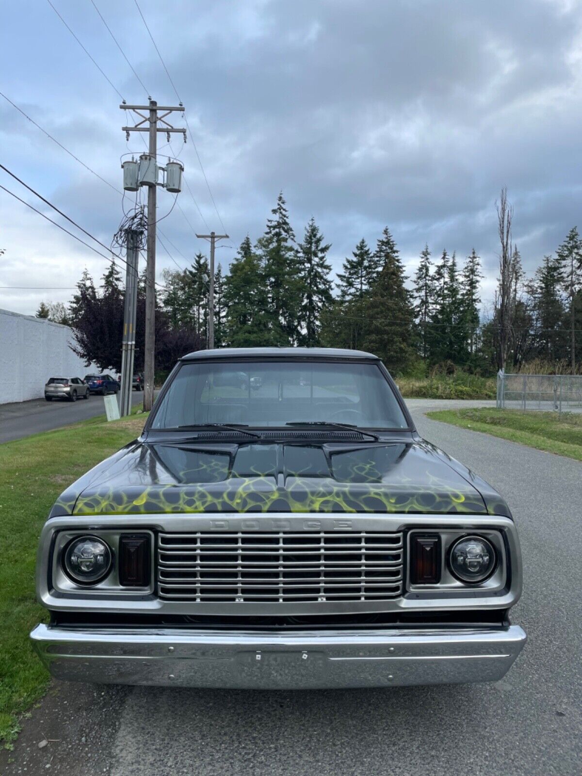 Dodge-Other-Pickup-1978-1