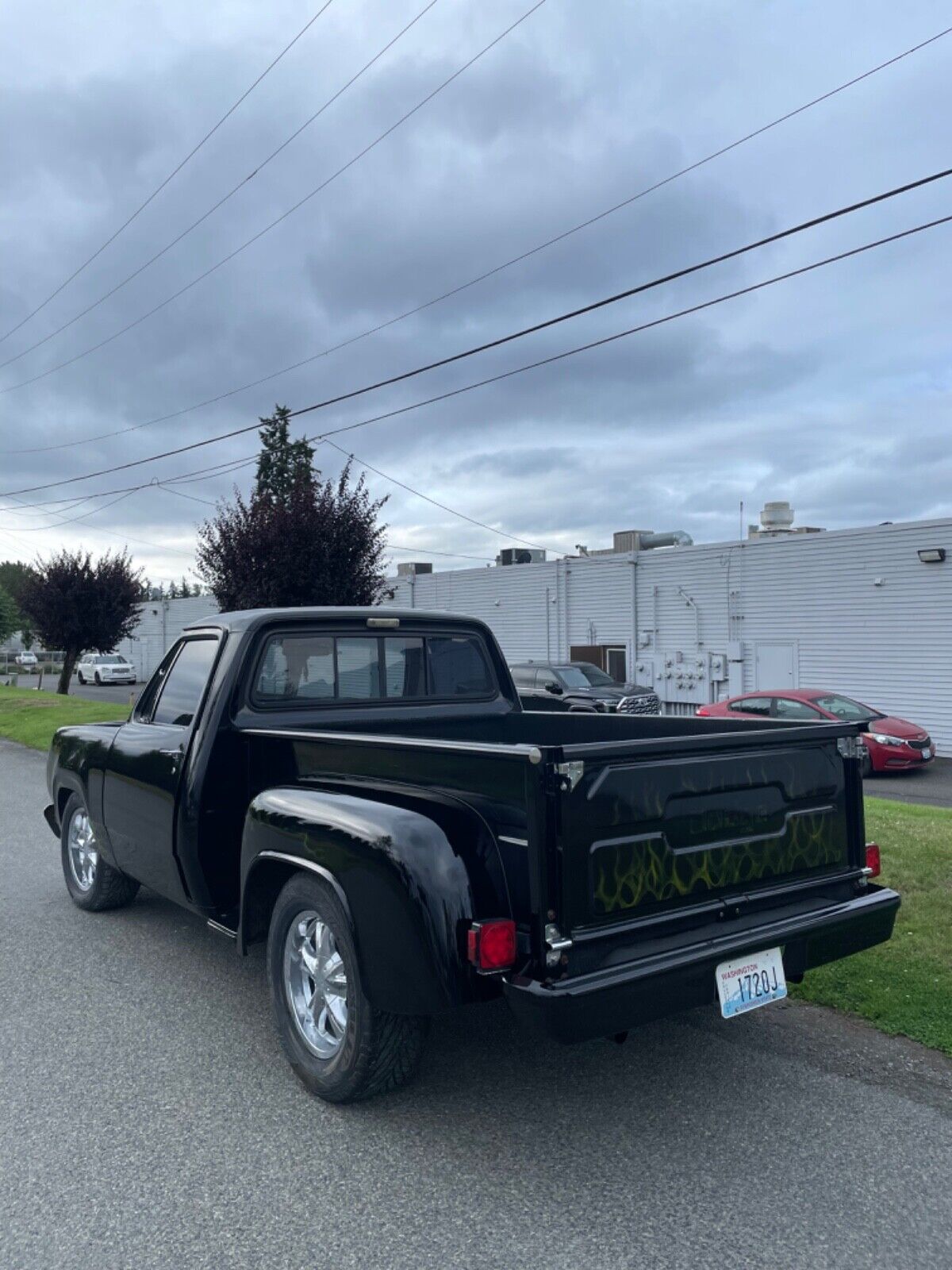 Dodge-Other-Pickup-1978-11