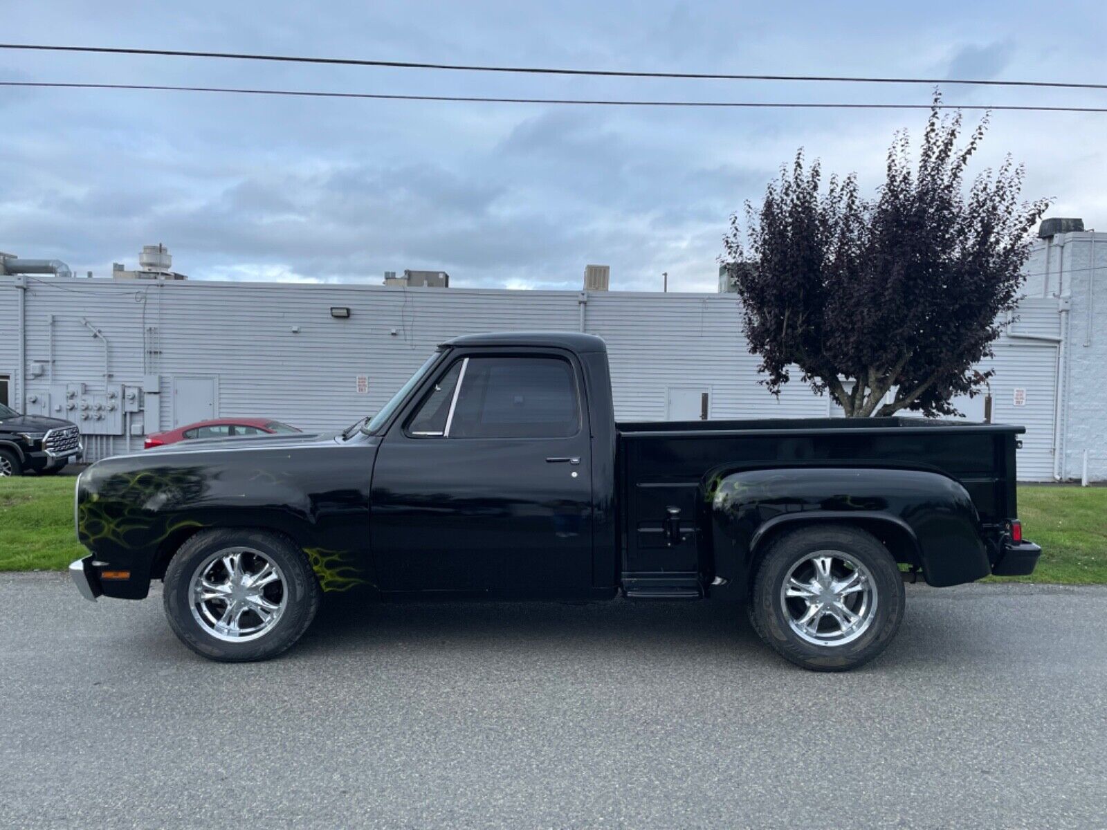 Dodge-Other-Pickup-1978-2