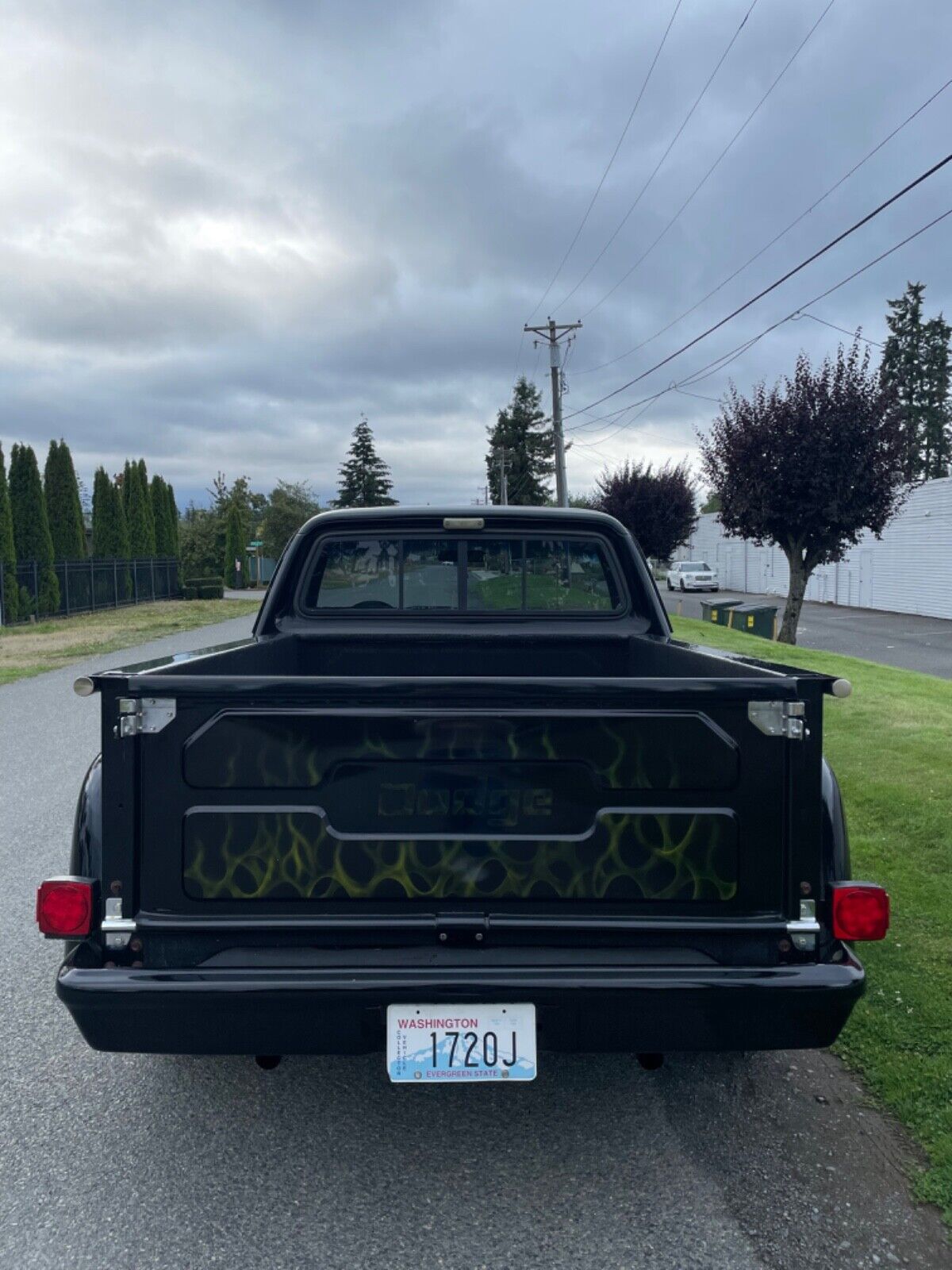 Dodge-Other-Pickup-1978-4