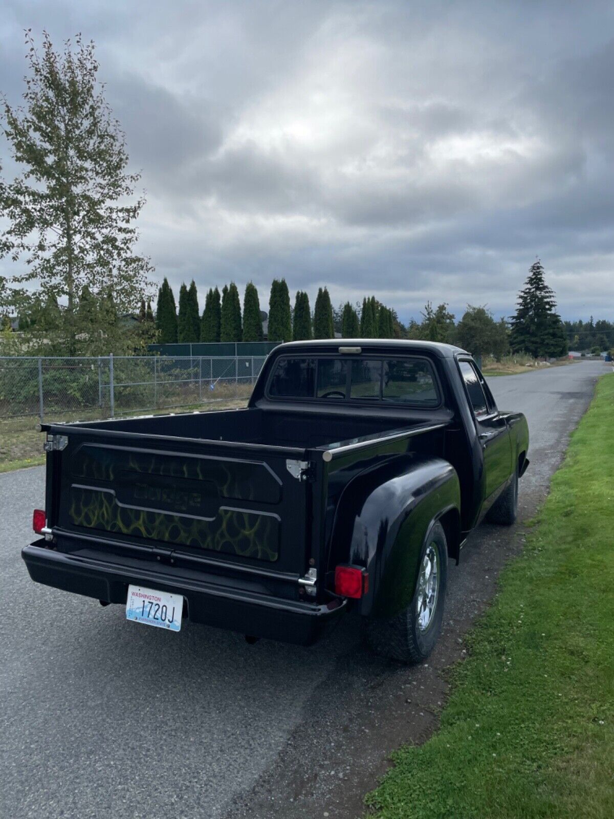 Dodge-Other-Pickup-1978-5