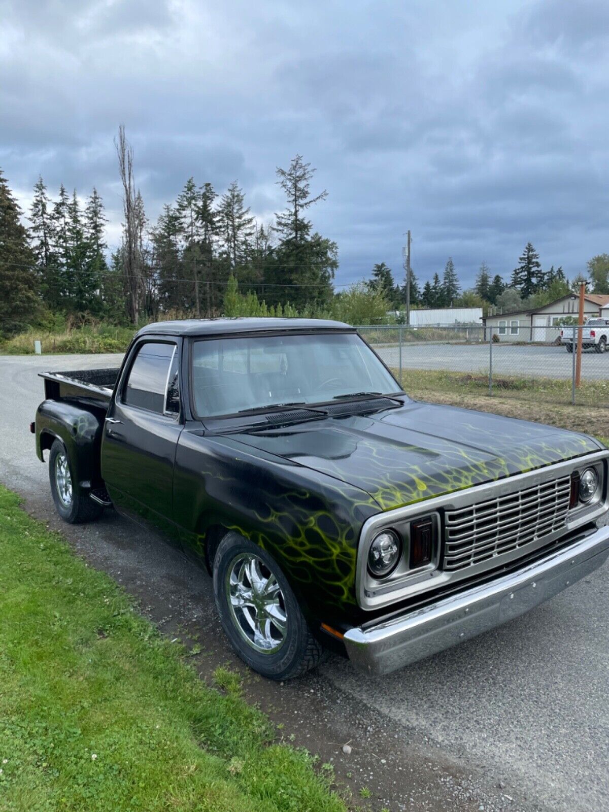 Dodge-Other-Pickup-1978-7