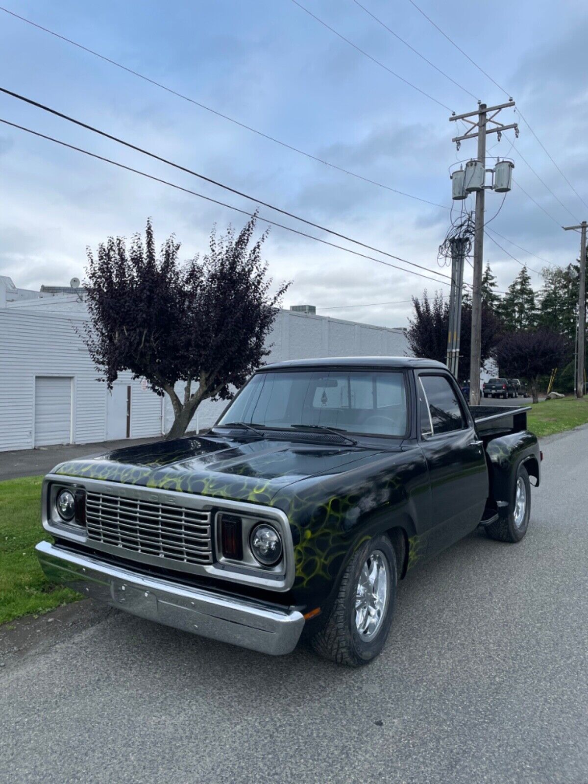 Dodge Other Pickup 1978