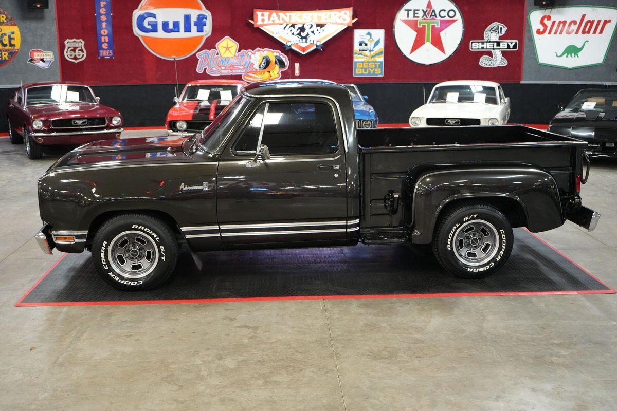 Dodge-Other-Pickups-Pickup-1977-10