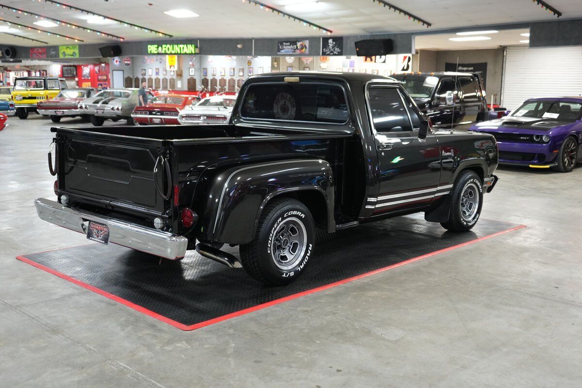 Dodge-Other-Pickups-Pickup-1977-5