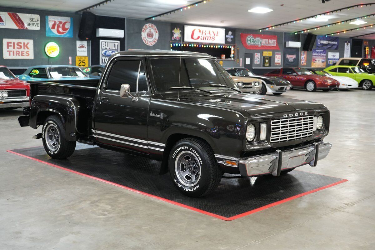 Dodge-Other-Pickups-Pickup-1977-7