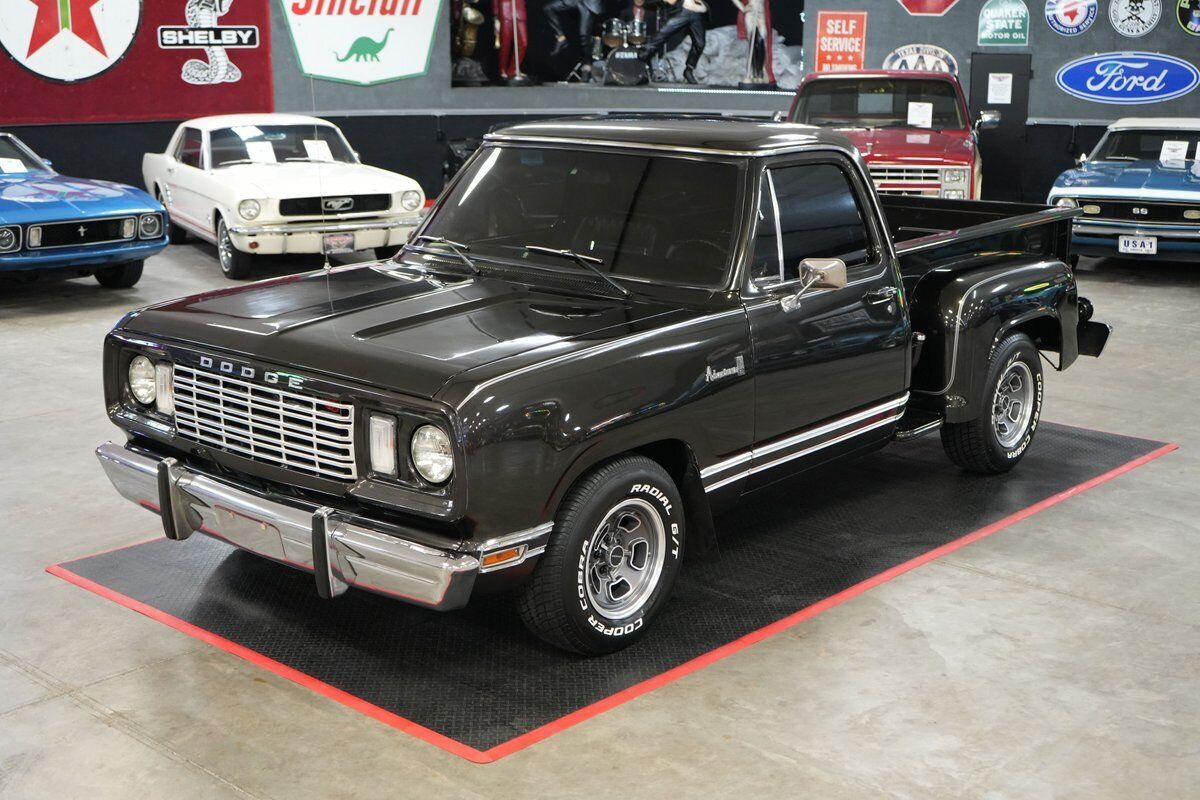 Dodge-Other-Pickups-Pickup-1977-9