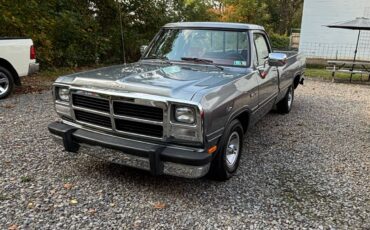 Dodge-Ram-1500-1991-11