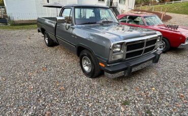 Dodge-Ram-1500-1991-7