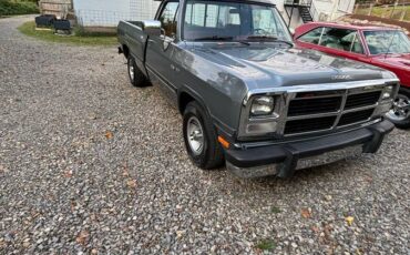 Dodge-Ram-1500-1991-8