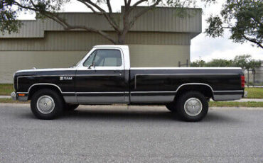 Dodge-Ram-1500-Pickup-1984-10