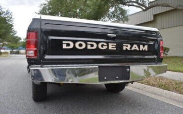 Dodge-Ram-1500-Pickup-1984-13