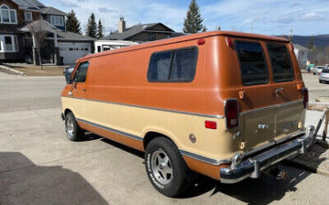 Dodge-Ram-Van-Van-1981-3