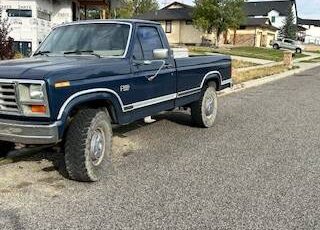 Ford-F-250-1986-4