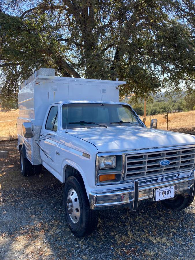 Ford-F-250-4x4-utility-truck-1985-3