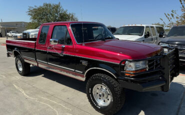 Ford-F-250-Pickup-1995-10