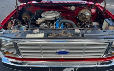 Ford-F150-4x4-shortbed-1982-4