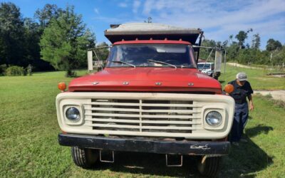 Ford F600 1969