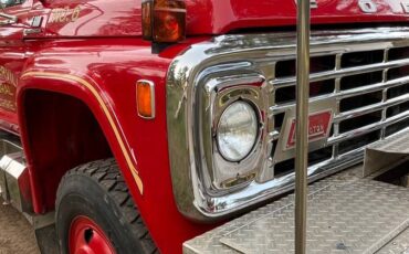 Ford-F600-4x4-1978-10