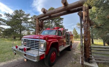 Ford-F600-4x4-1978-3