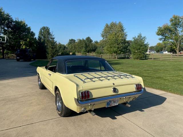 Ford-Mustang-1965-1