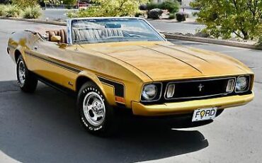 Ford-Mustang-1973-2