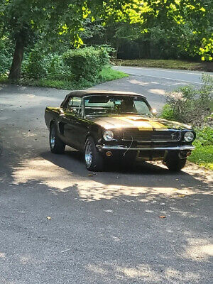 Ford-Mustang-Cabriolet-1966-3