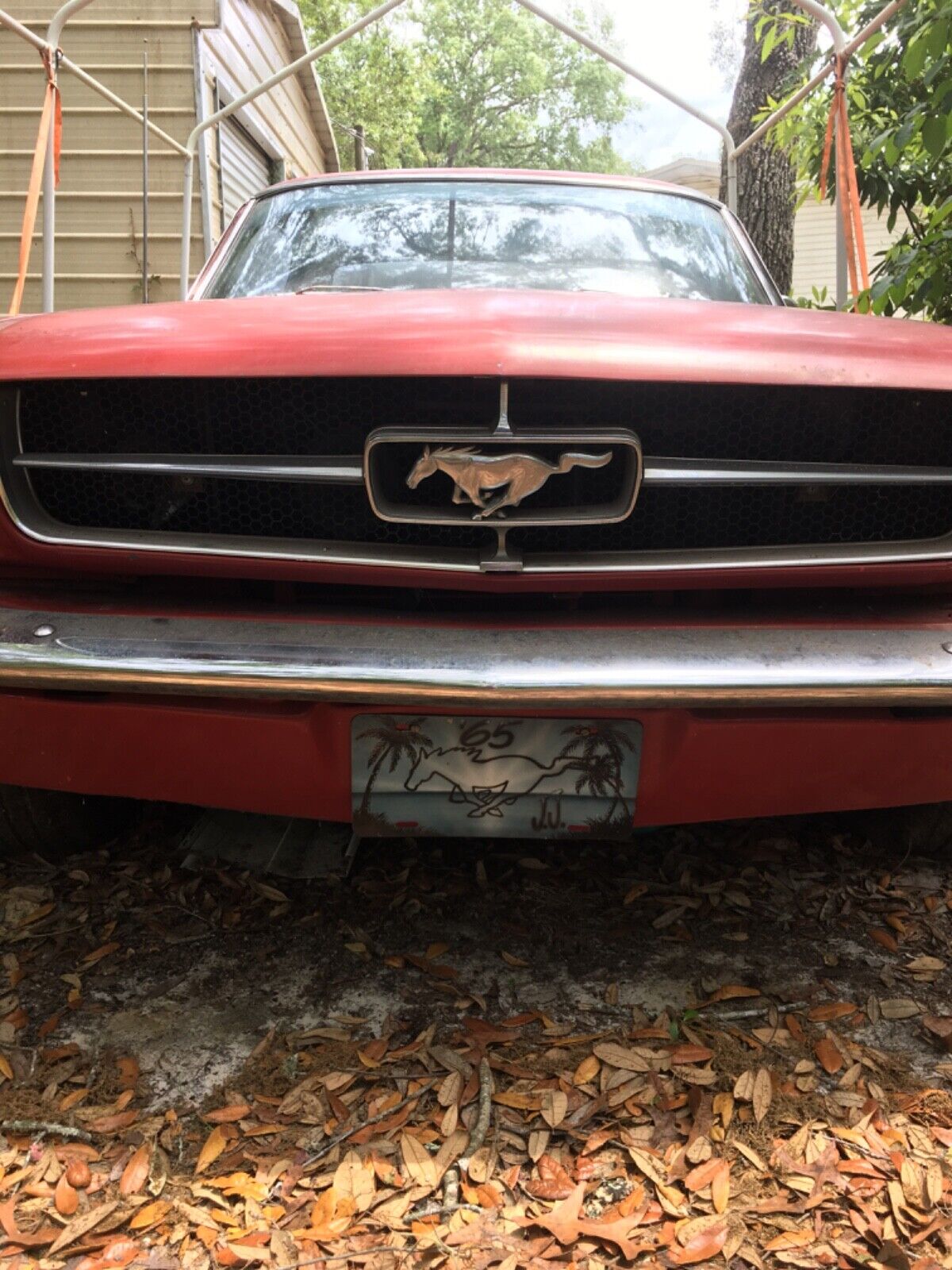 Ford-Mustang-Coupe-1965-15