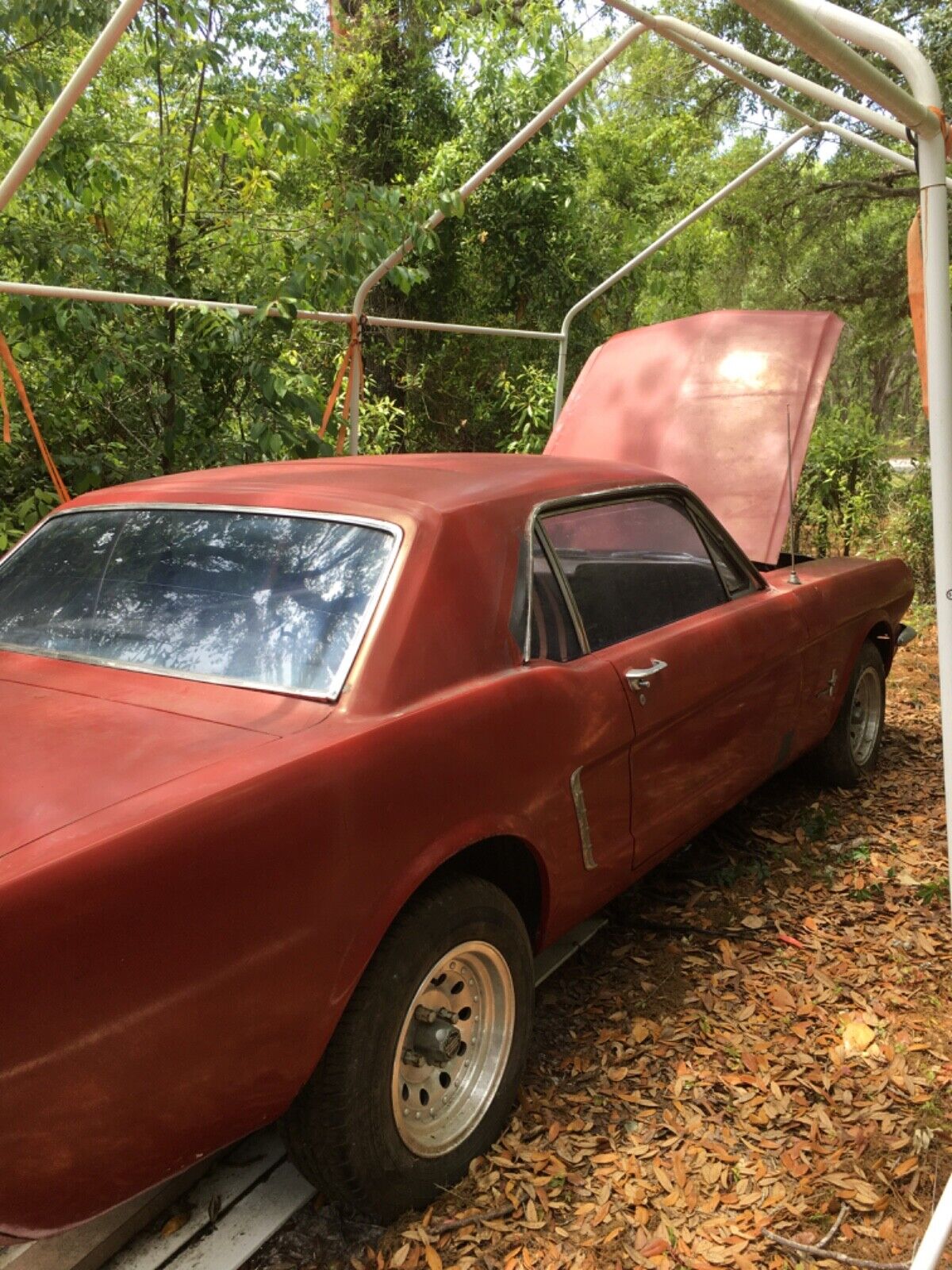 Ford-Mustang-Coupe-1965-3