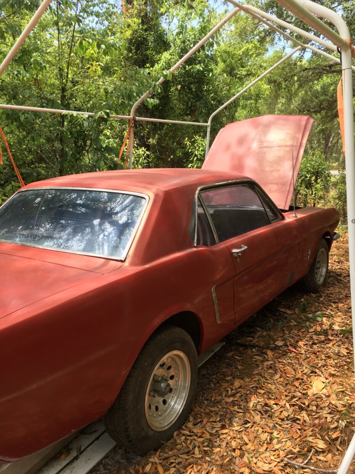 Ford-Mustang-Coupe-1965-4