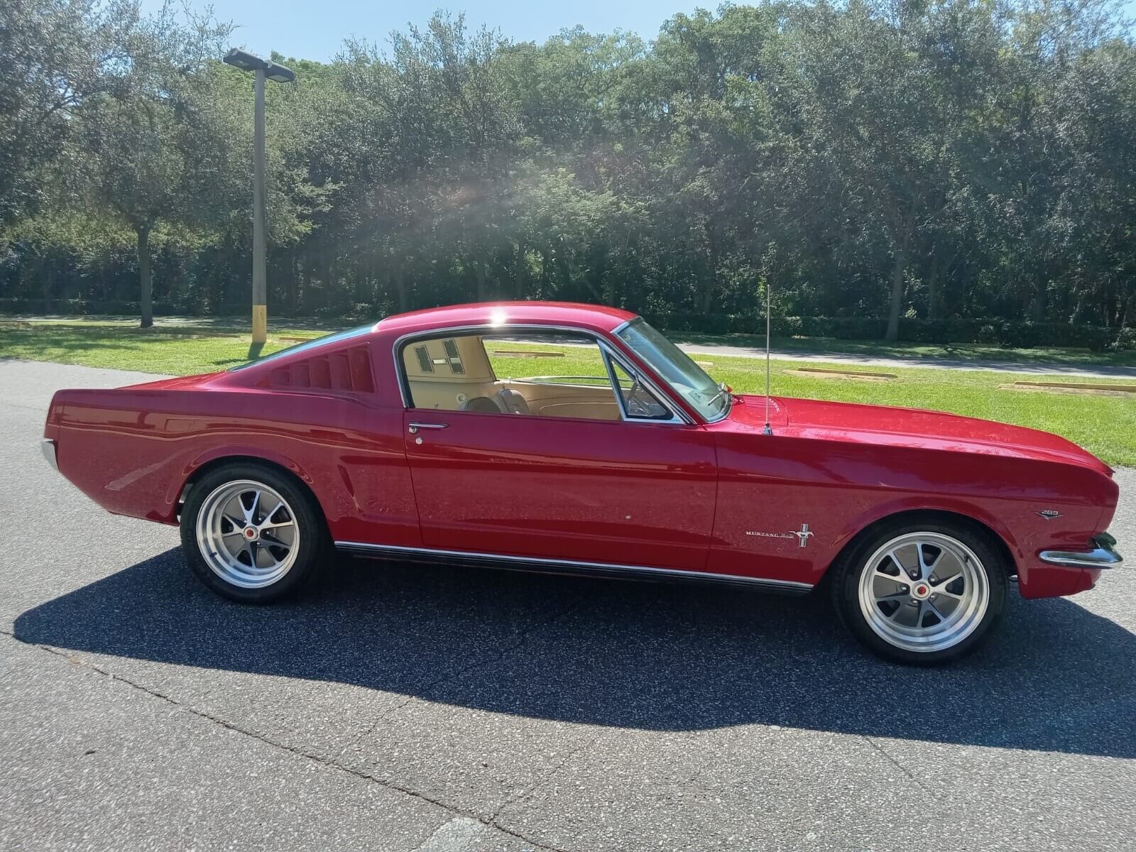 Ford-Mustang-Coupe-1966-1