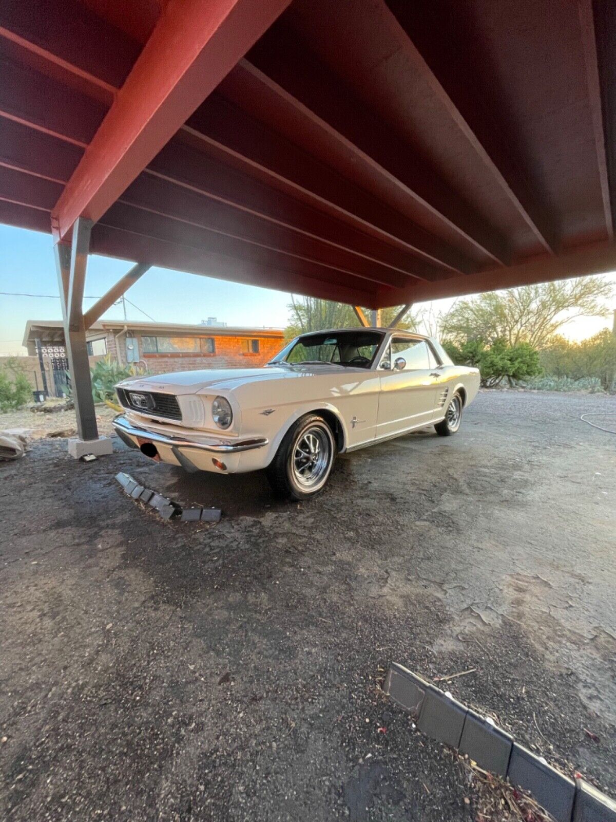 Ford-Mustang-Coupe-1966-3