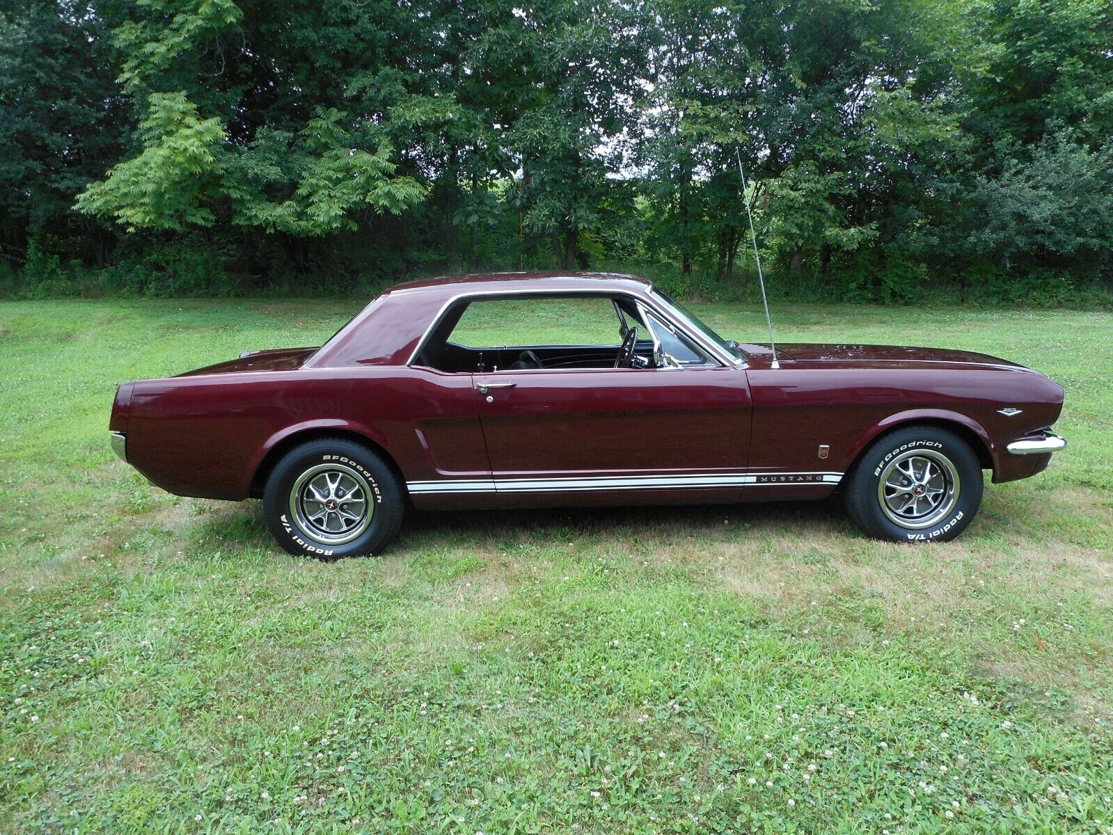 Ford-Mustang-Coupe-1966-5