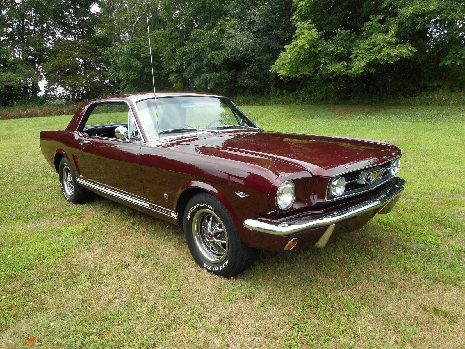 Ford-Mustang-Coupe-1966-6