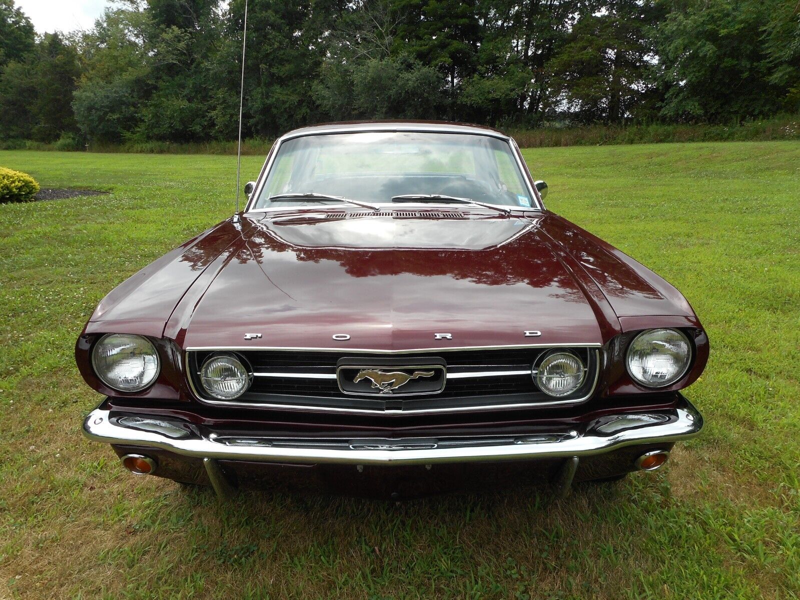 Ford-Mustang-Coupe-1966-7