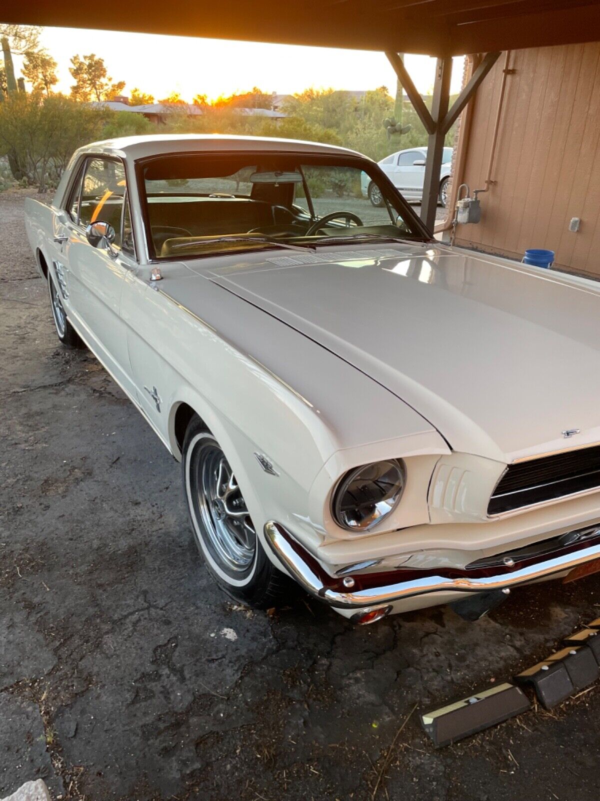 Ford-Mustang-Coupe-1966-8