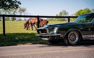 Ford-Mustang-Shelby-GT500-Coupe-1968-13